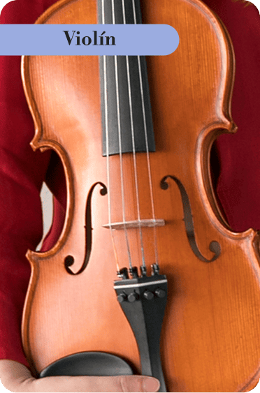 violin