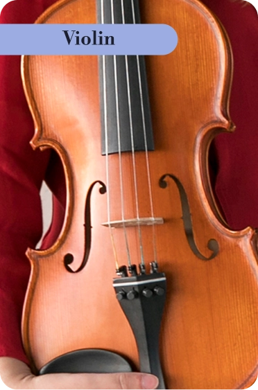 violin